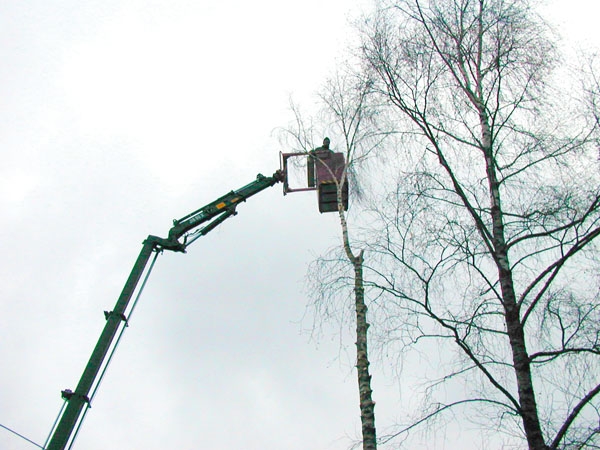 20081121 1811356863 hagendorfer kranarbeit 04